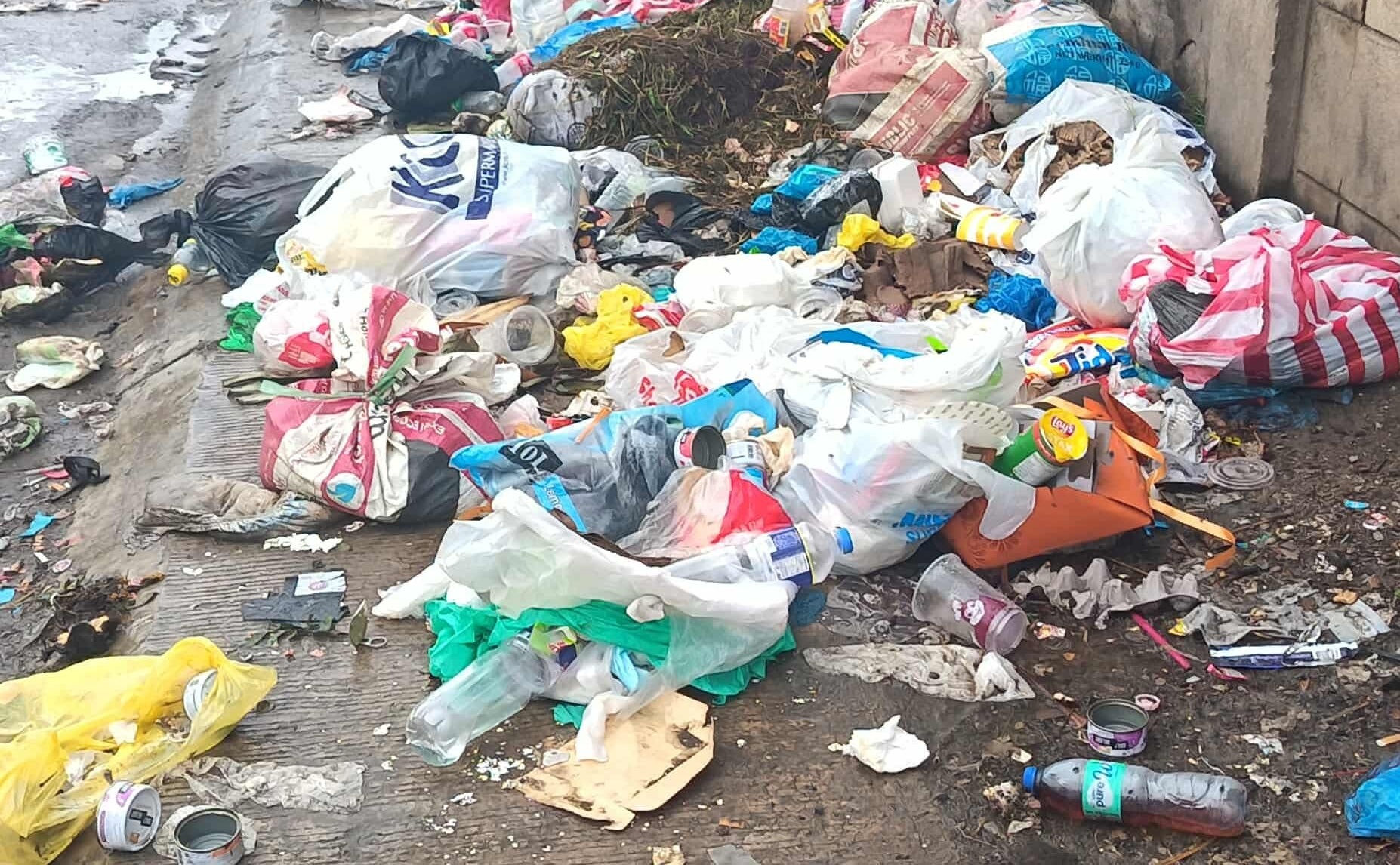 531390998_1215199217286595_190215734894465421_n